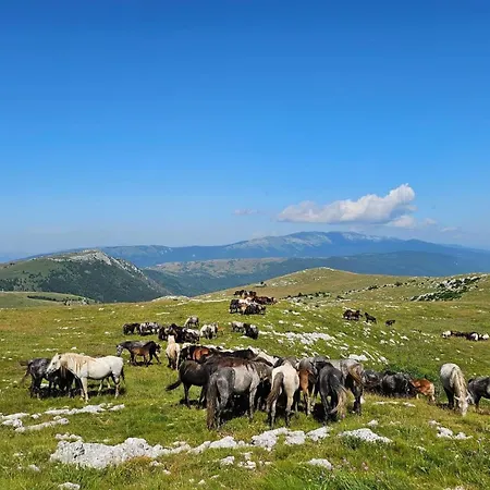 Lumon Διαμέρισμα *